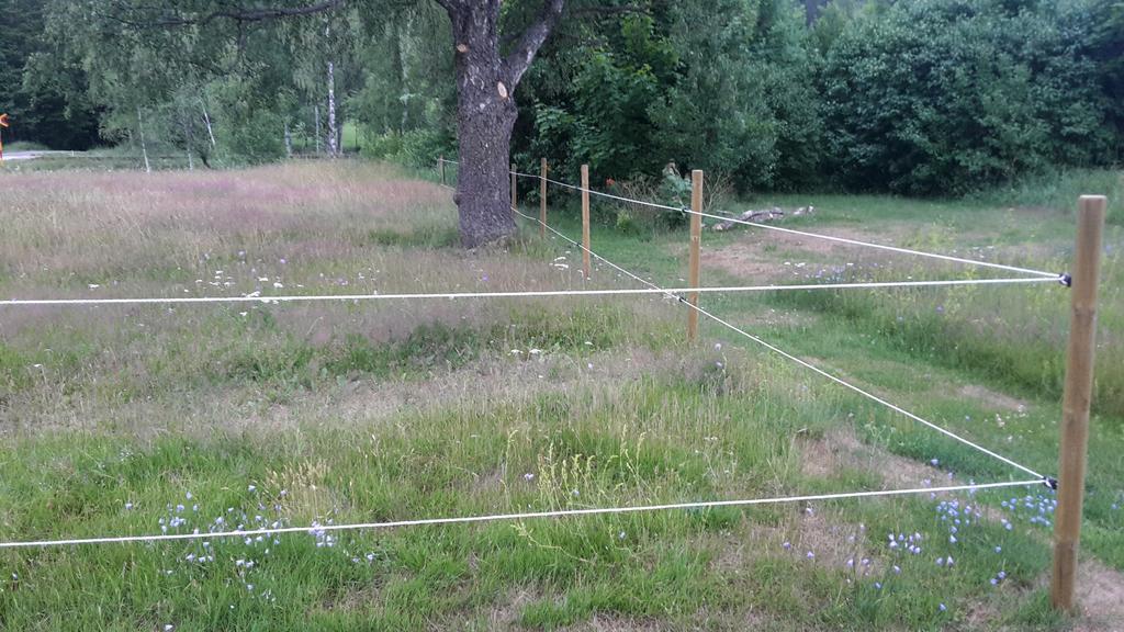 Bjärkeryd Södergård Bed&Stable Villa Kisa Exteriör bild