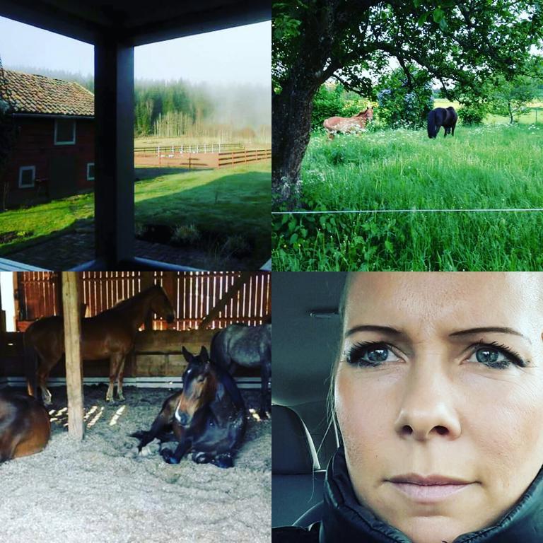 Bjärkeryd Södergård Bed&Stable Villa Kisa Exteriör bild